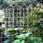4 Pack Metal Garden Trellis 86 7 x19 7 rustproof Trellis For Climbing Plants Out
