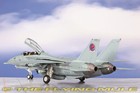 Hobby Master 1 72 F-14a Tomcat  Top-gun   114 Maverick And Goose