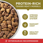 Purina One Dry Dog Food Lamb And Rice Formula 8 Lb  Bag
