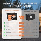 12v 300ah  280ah  Lifepo4 Battery With 200a Bms 3840wh For Rv Camping Off-grid