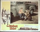 The Littlest Hobo Lobby Card Complete Set 1958 Buddy Hart  Ultra Rare 