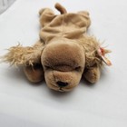 Ty Beanie Babies Spunky Bucky Bernie Derby Ears Plush Lot 5 Small Brown
