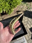 Vintage 1949 Buescher Aristocrat Big B Alto Saxophone W rare Tripack Deluxe Case