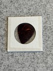 George Thorogood   The Destroyers  1980 Vintage Tour Guitar Pick  