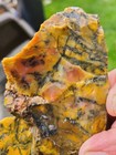 Rare 1 38 Lb Colorful Brecciated Jasper-agate Rough  dendritic  From Utah