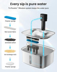 10l Dog Water Bowl Dispenser Fountains Accessories  Pet Cat Water Fountain Stain