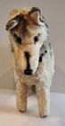 11  Tall German Shepherd  steiff   