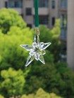 2025 Swarovski White Crystal Annual Edition Star Ornament 5691172 New In Box