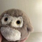 Jellycat Barn Owling Soft Plush Toy Brown Stuffed Nocturnal Baby Owl Owlet Nwt