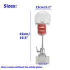 Dental Simulator Manikin Phantom Head Teeth Model Bench Mount Teaching Model