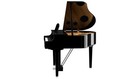 Final Collection  Yamaha Clavinova Clp 795 Gp