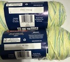 Lot Of 2 Bernat Super Value In Budgie 275yds 5oz Washable Soft Acrylic