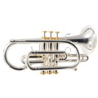 Stomvi Forte Professional Cornet Sn 0013682 Excellent