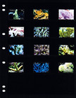  19 05 Scott Value - 2006 Tuvalu Corals Definitives Reefs Pacific Cv Mnh Nh Umm