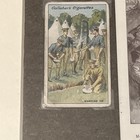Wwi British Irish Guards Insignia Framed Cigarette Cards Presentation Piece 2001