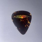Boston Tom Scholz 2017 Hyper Space Tour Guitar Pick Rare Concert Stage Plectrum  