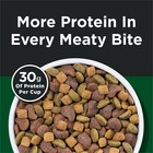 Purina Dog Chow High Protein Dog Food Dry Recipe With Real Beef  44 Lb Bag