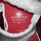 Christmas Santa Hat With Beard Pet Dog Costume
