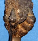 Brass Eagle Claw With Culebra Cut Rock From Panama Canal Zone - P p i e  1915