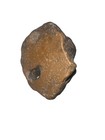 Natural Hag Stone  65 Oz  Small