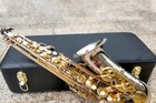 Eb Alto Saxophone     Silver Body   Gold Keys     Pro Style With Case
