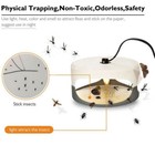 Flea Traps For Inside Your Home sticky Flea Trap flea Treatment W light Refills