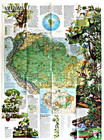     1992-8 August Amazonia World Resource At Risk National Geographic Map - A3