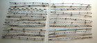 25 Different 18  Antique Patented Barbed Wire Samples - Identified Tagged Lot A