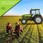 Roasted Brazil Nuts - Unsalted  No Shell  Whole  16 Ounce  1lb 