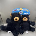 Ganz Webkinz Black Bear With Lil Kinz Hm004 Set Plush Stuffed Toy Nwt 