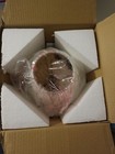 New In Box Noah s Ark Cute Animals Boat Children s Electric Desk Lamp