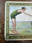Lombard College Diving   T51 Murad Cigarettes College Series   5th Series  c 
