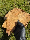 200gr Seasoned Pressed Dried Squid  ready-to-eat  - M   c C  n T   m V      n Li   n