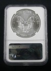2017  p  Silver Eagle Struck At Philadelphia Mint Ngc Ms 70 First Day Of Issue