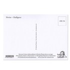 Made In France Cat Postcard  fevrier Challigator  - February Alligator