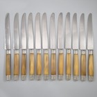 Vintage French Dinner Dessert Knives Horn Handles Silver Plate Collars Stamped