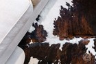 Genuine Cowhide Rug Brindle Tricolor Extra White Backbone - Size 6x6   