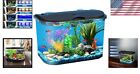 5-gallon Led Aquarium Kit  Ideal Starter For Tropical Fish   Easy Maintenance