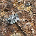 Washington State Enamel Lapel Pin     Souvenir Gift  Collectible Design