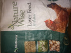 1000ct Live Mealworms  Reptile  Birds  Chickens  Fish   medium 