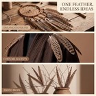 10 Pcs Long Pheasant Tail Feathers Natural Pheasant Feathers Floral Arrangeme   