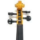 Cecilio Silent Electric Solid Wood Violin With Ebony Fittings And Case
