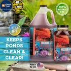 Microbe-lift Pl Pond Bacteria And Outdoor Water Garden 16 Fl Oz  Brown