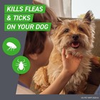Frontline Plus Flea   Tick Spot Treatment For Medium Dogs  23-44 Lbs  8 Count