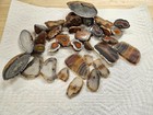 Malawi Agate Halfs Cut Polished Montana Slabs Colandria Agate Nodule