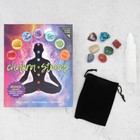 Chakra Stones Gemstone Kit - New 7 Crystals  Selenite Wand  Printed Mat   Pouch