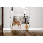 Expandable Metal Dog Gate W  Small Pet Door Pressure Mount Design 32 In Tall New