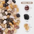 Whanley L q 18 Lbs Natural River Rocks 1-2 Inch Polished Pebbles Decorative