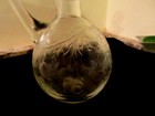 Antique Hand Blown Etched Cruet Applied Handle Polished Pontil Floral berries