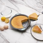 9 Inch Silicone Round Cake Pans  2 Pack Nonstick Silicone Baking Pans Set  Fo   